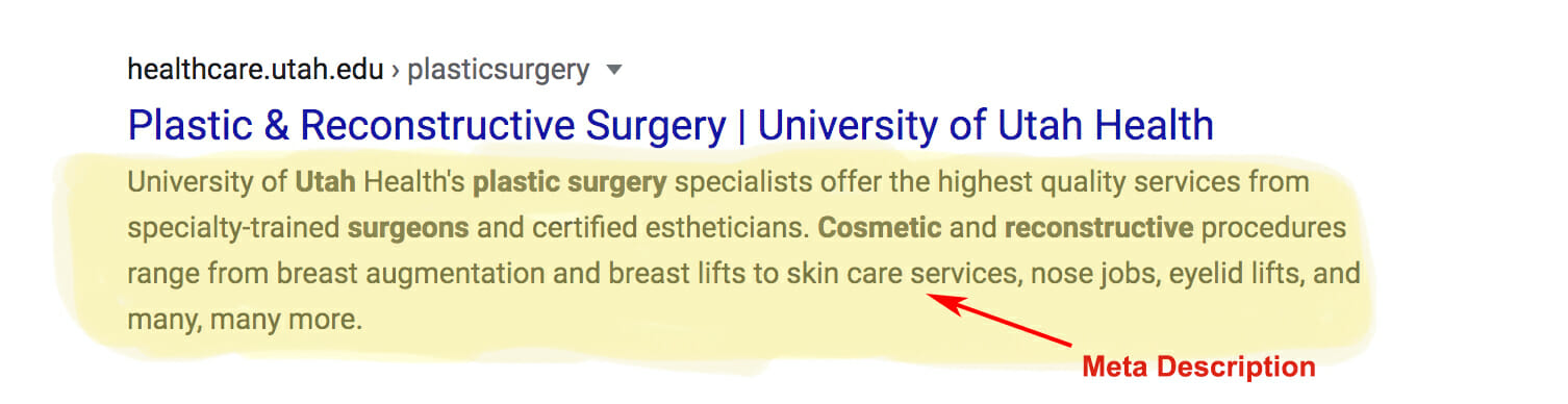 Seo For Plastic Surgeons The Best Seo Guide To Boosting Traffic Yoyofumedia